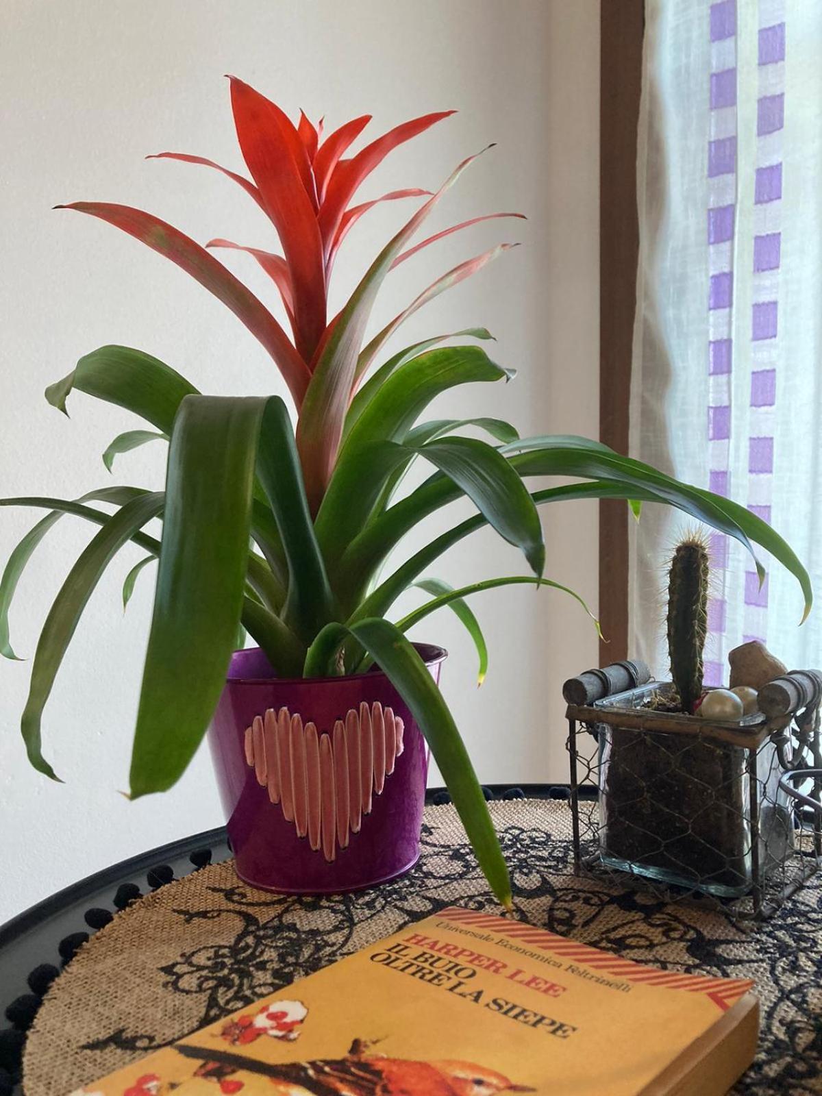 Oasi Verde Palazzago 外观 照片