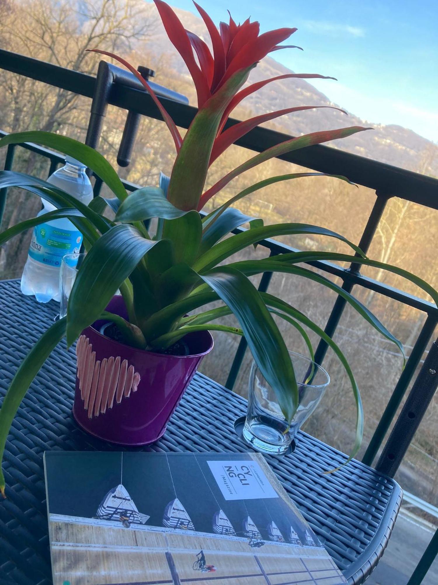 Oasi Verde Palazzago 外观 照片